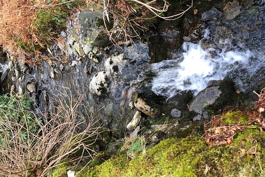 Tour image 6