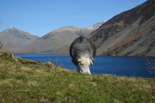 Tour image 2