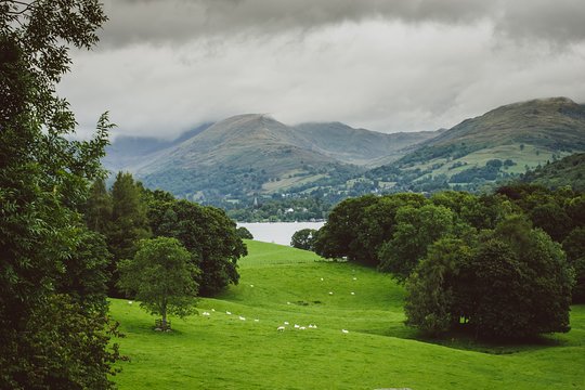 Tour image 5